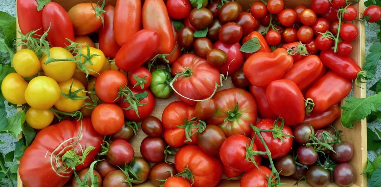 Beetplanung: Gute und schlechte Nachbarn im Gemüsebeet