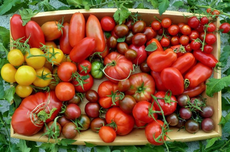 Beetplanung: Gute und schlechte Nachbarn im Gemüsebeet